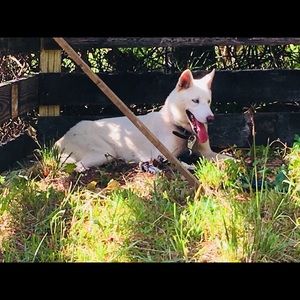 Meet your Posher, Gladys